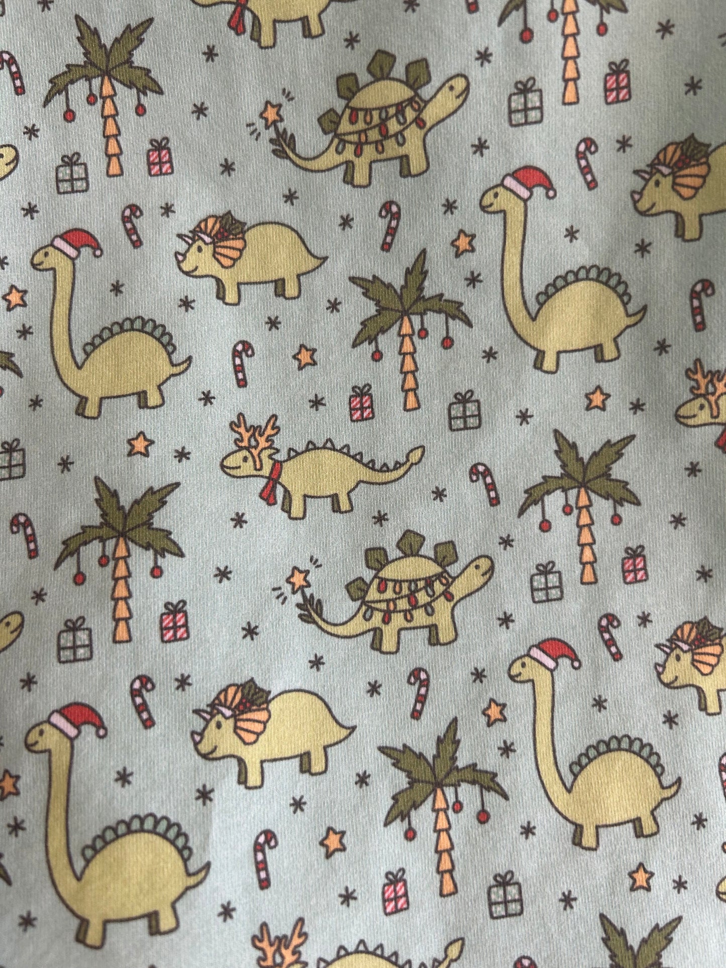 Green Christmas Dinosaur -T-Shirt & Shorts - Size 1