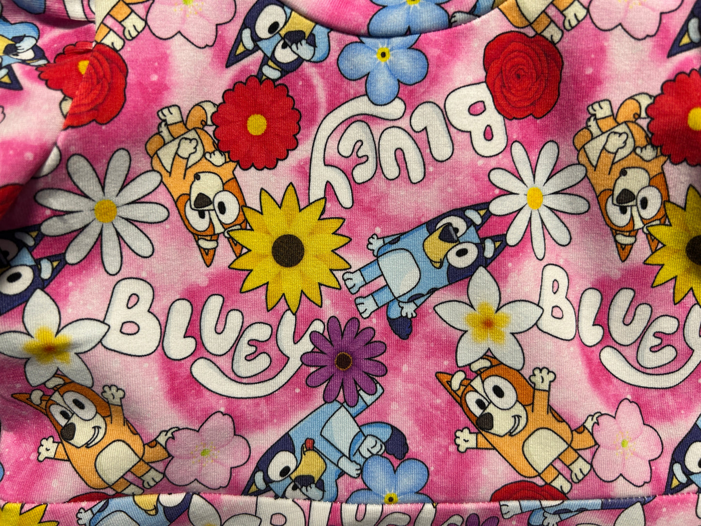 Pink Bluey Dress - Size 2