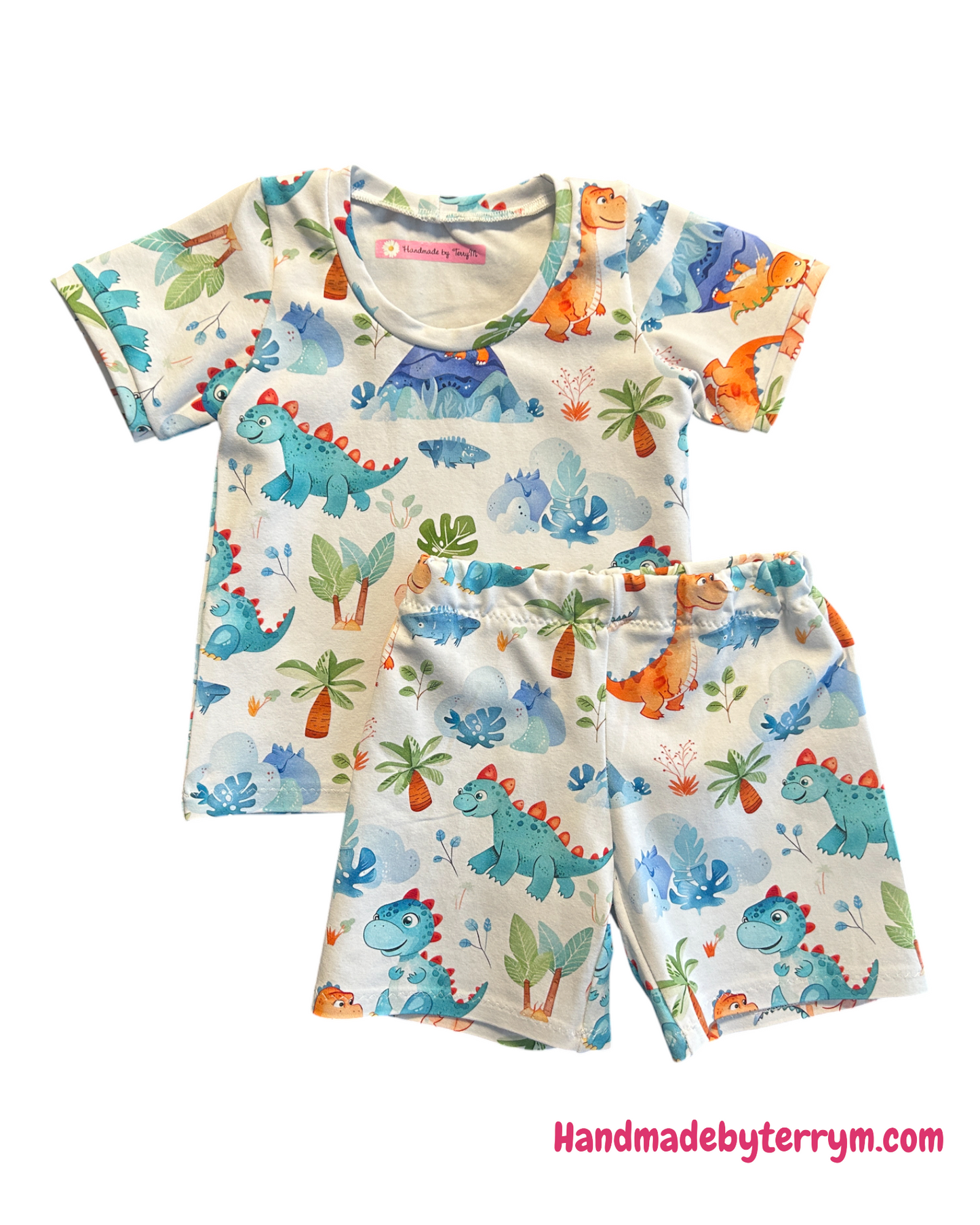 Cute Dinosaur Tshirt & Shorts Set - Size 1