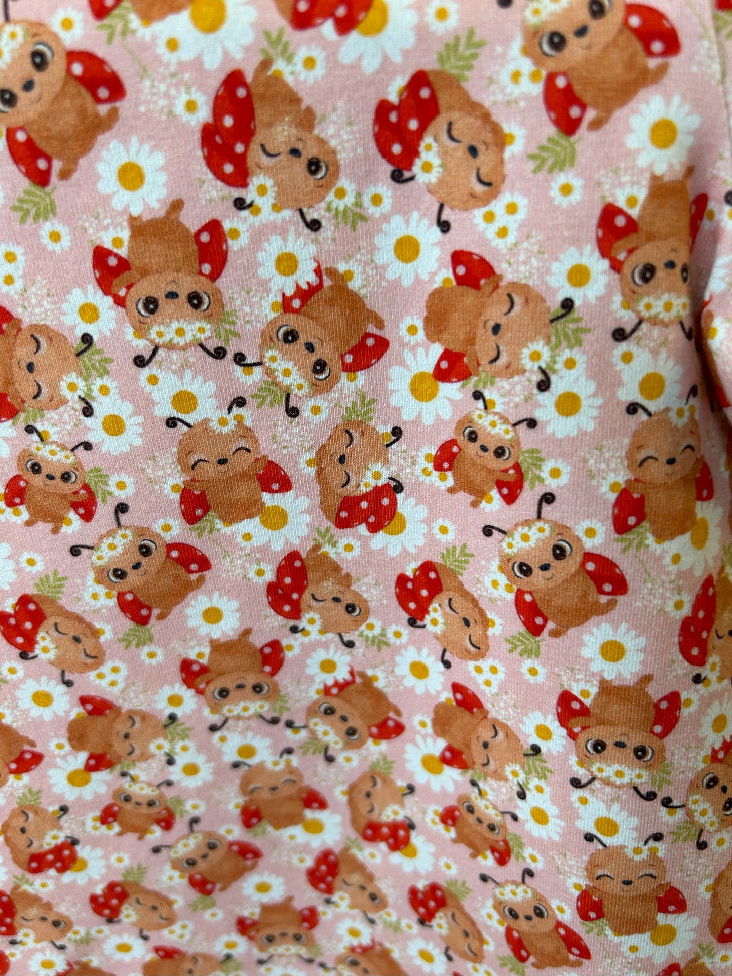 Cute Ladybugs Tshirt - Size 2