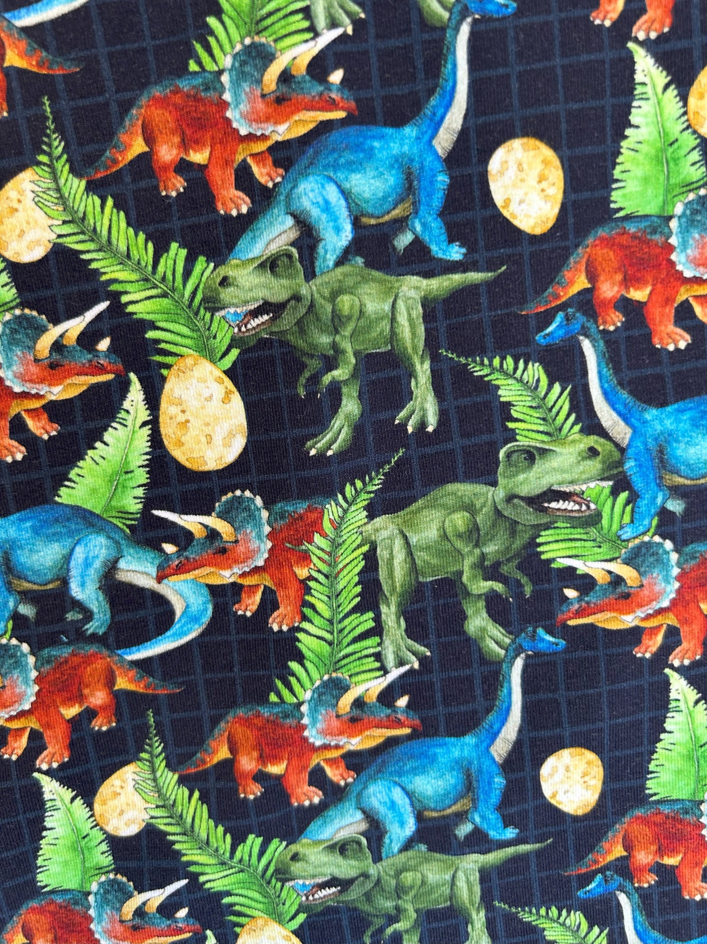 Dinosaur T-Shirt & Shorts Set - Size 2