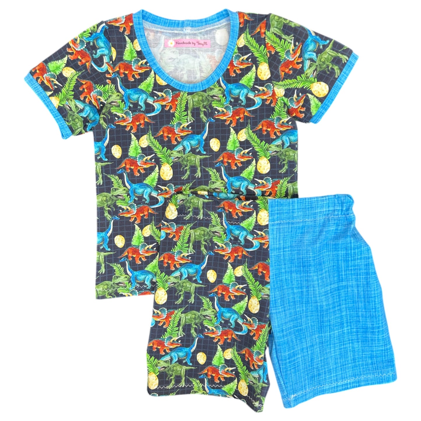 Dinosaur T-Shirt & Shorts Set - Size 2