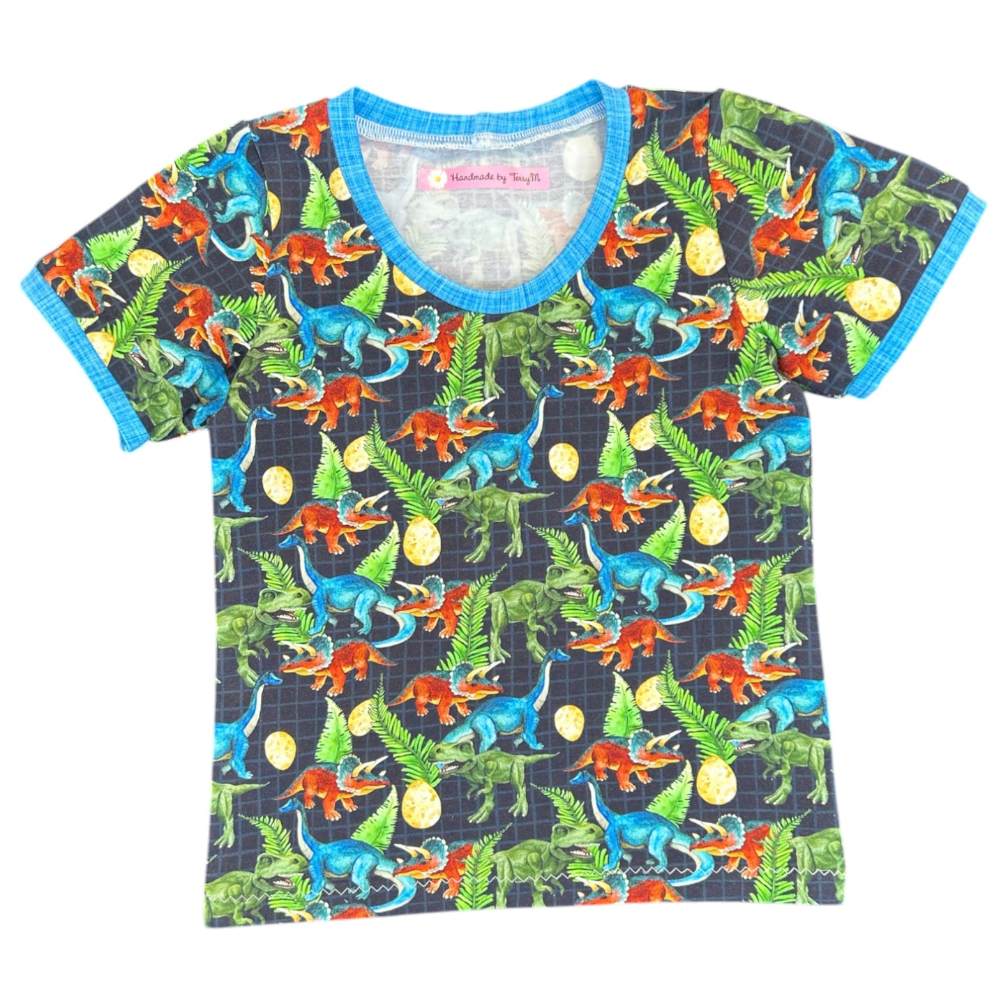 Dinosaur T-Shirt & Shorts Set - Size 2