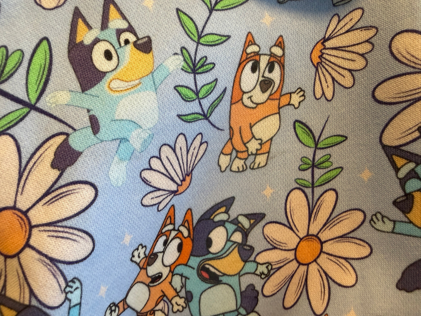 (1702) Blue Dog & Friends Jumper - Size 4