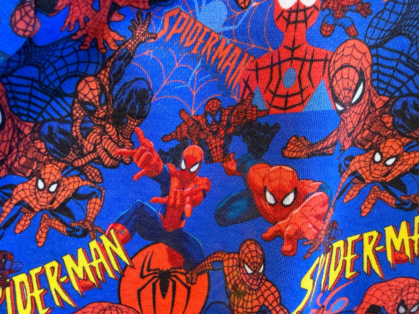 (1703) Spiderdude Jumper - Size 2