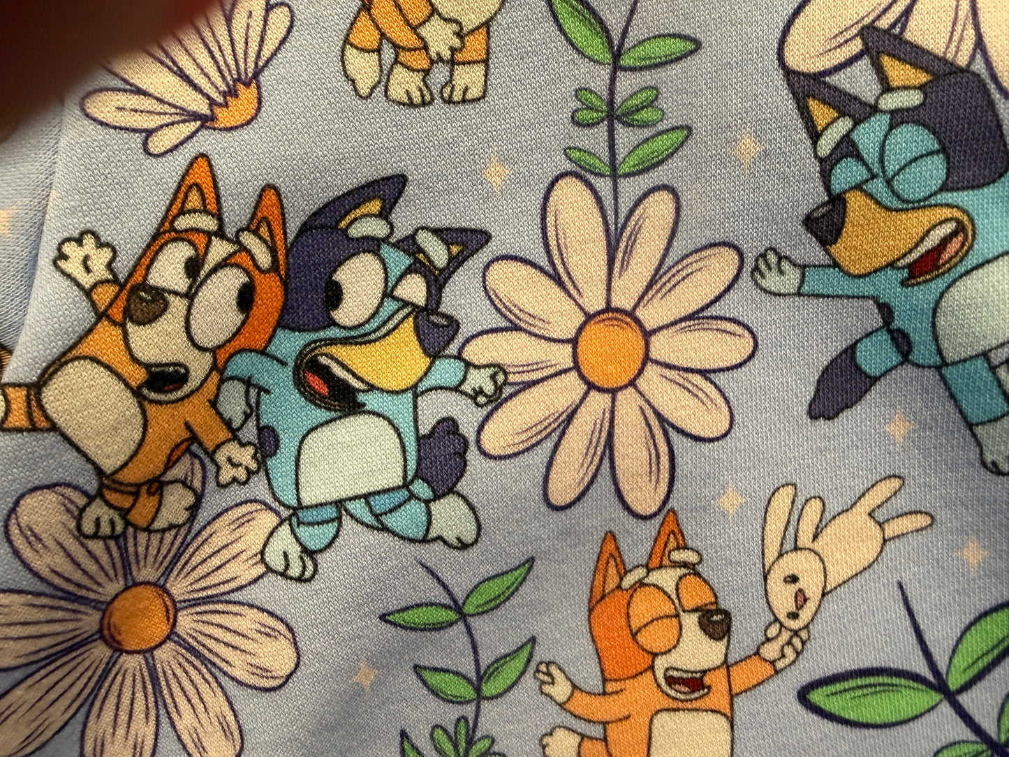 (1700) Blue Dog and Friends Jumper - Size 2