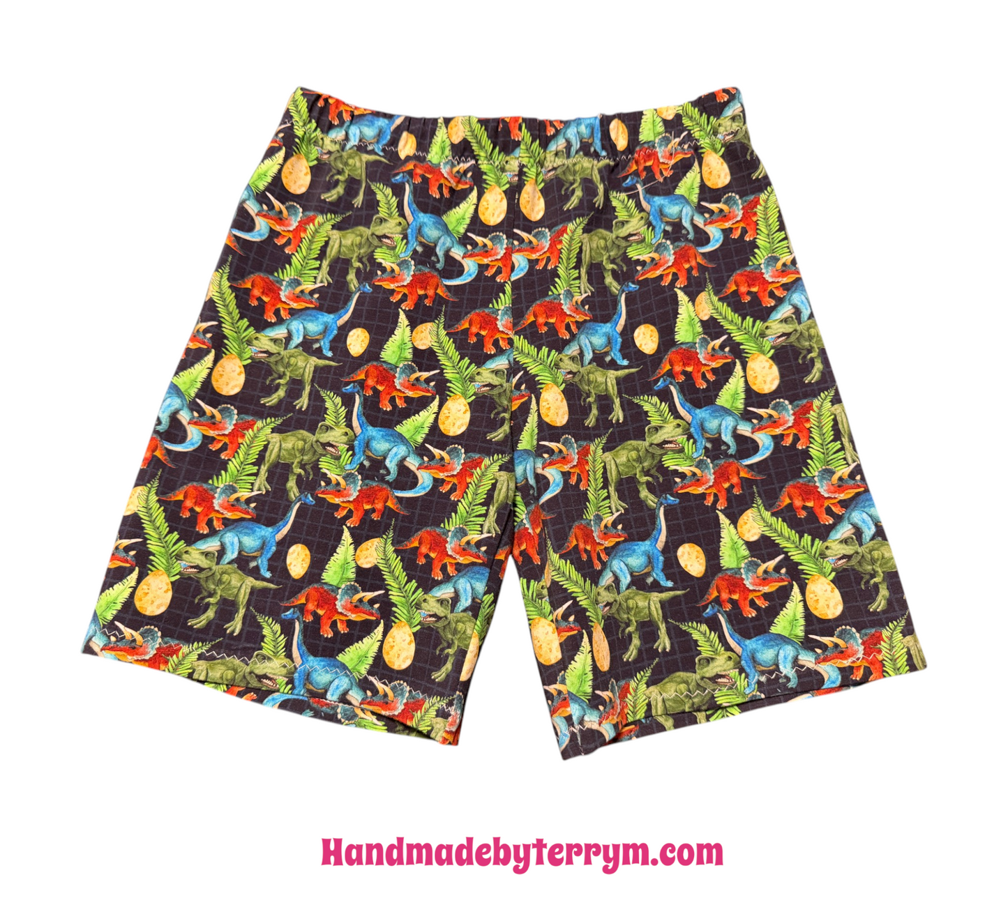 (1782) Roaring Dino Adventure T‑Shirt & Shorts Set – Size 5