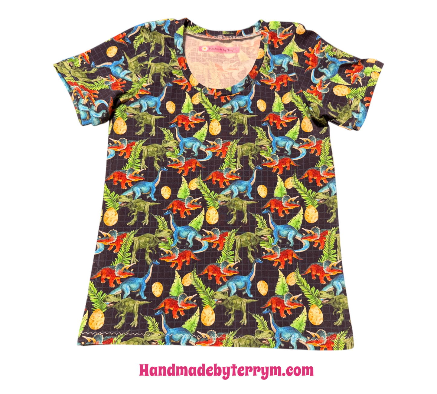 (1782) Roaring Dino Adventure T‑Shirt & Shorts Set – Size 5