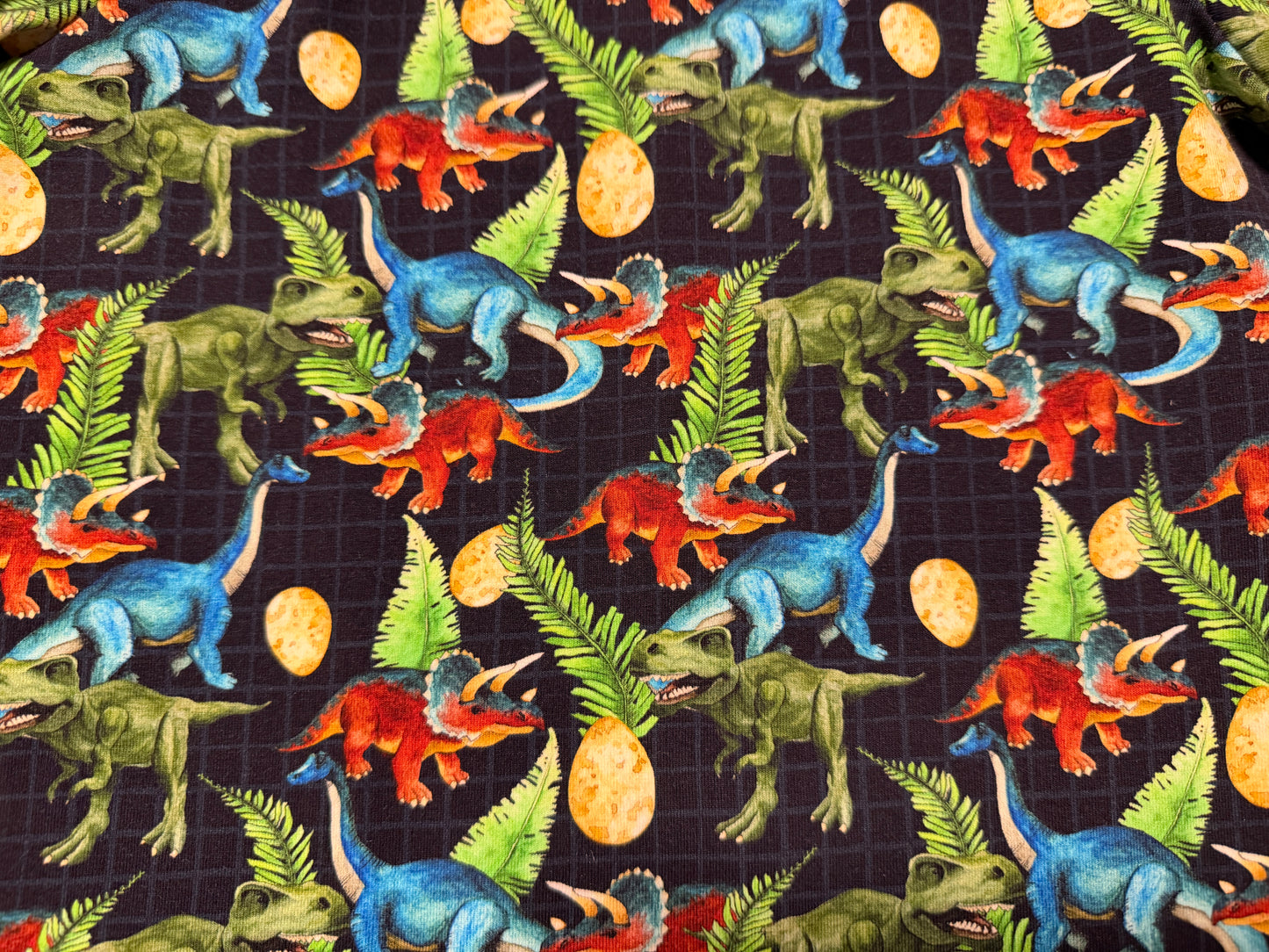 (1782) Roaring Dino Adventure T‑Shirt & Shorts Set – Size 5