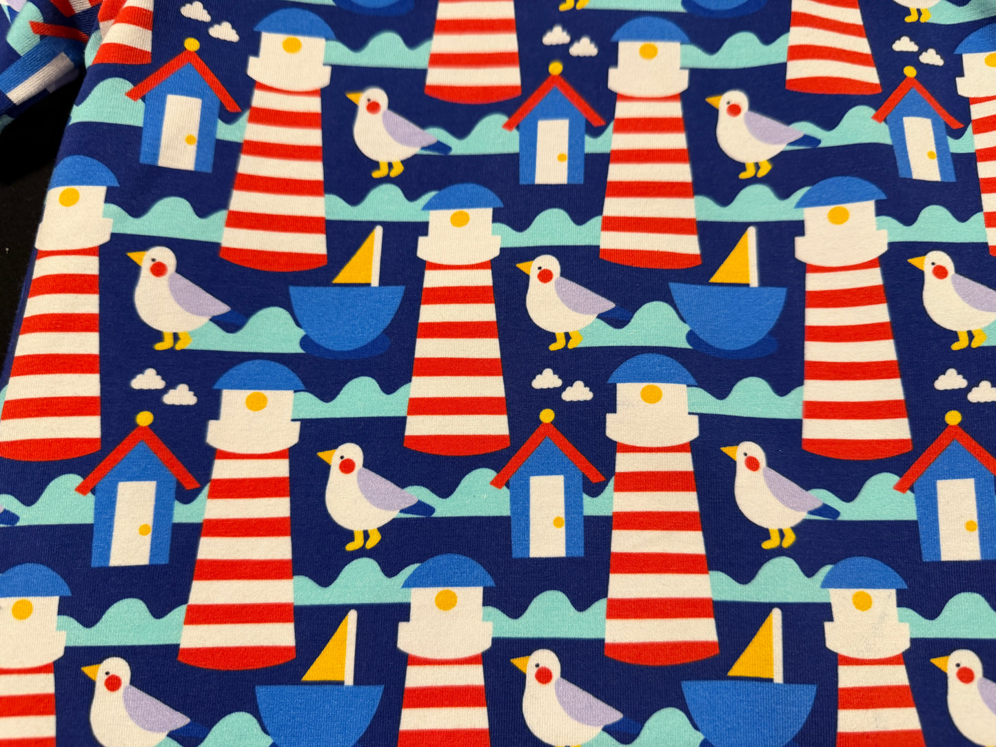 (1778) Seagull T-Shirt & Shorts Set - Size 5