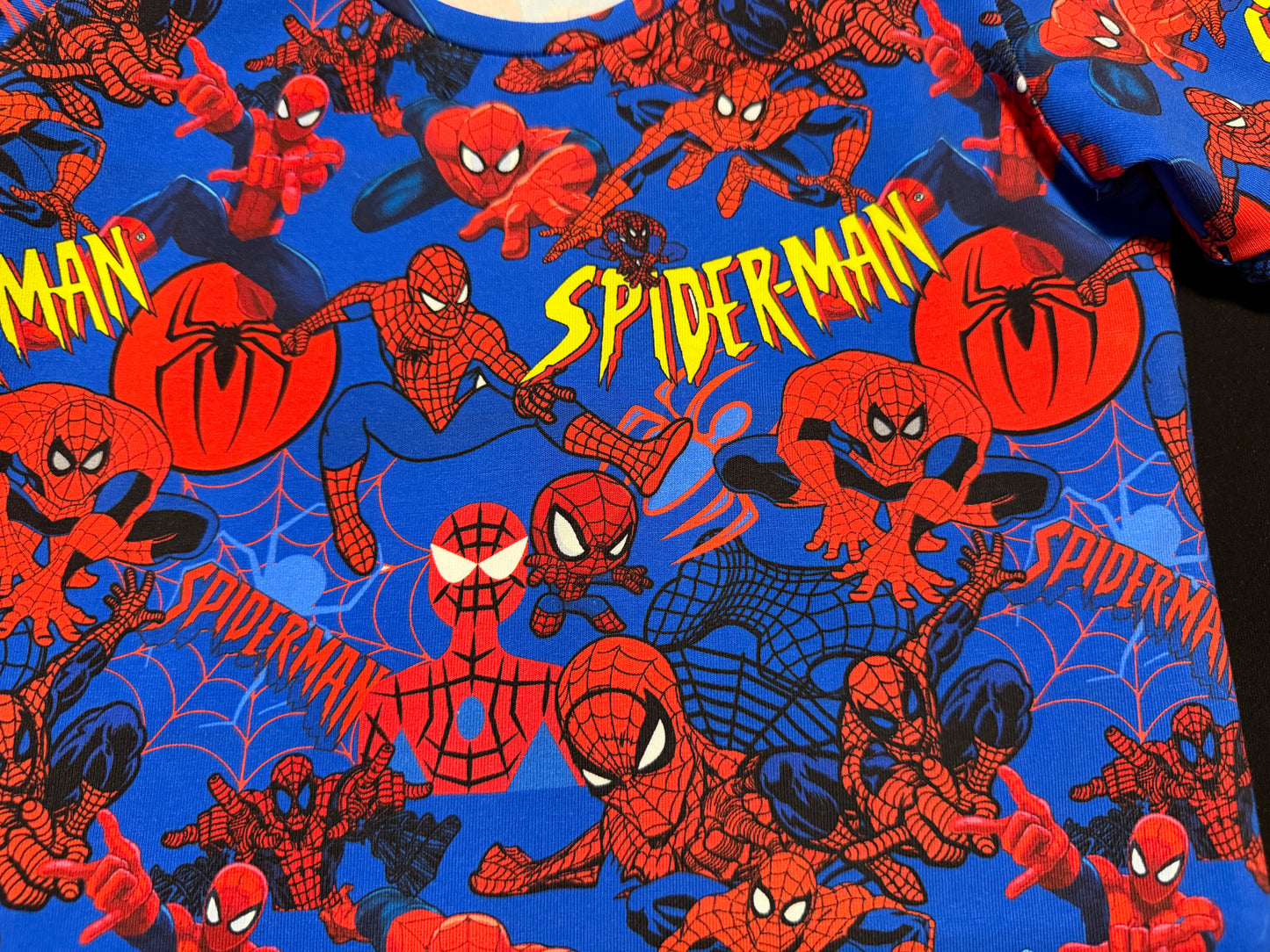 (1773) Spiderdude T-Shirt & Shorts Set - Size 5