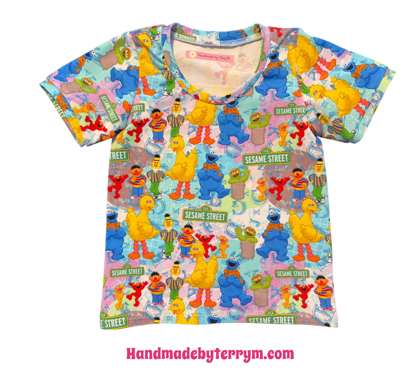 (1787) Friendly Street Crew T‑Shirt & Shorts Set – Size 2