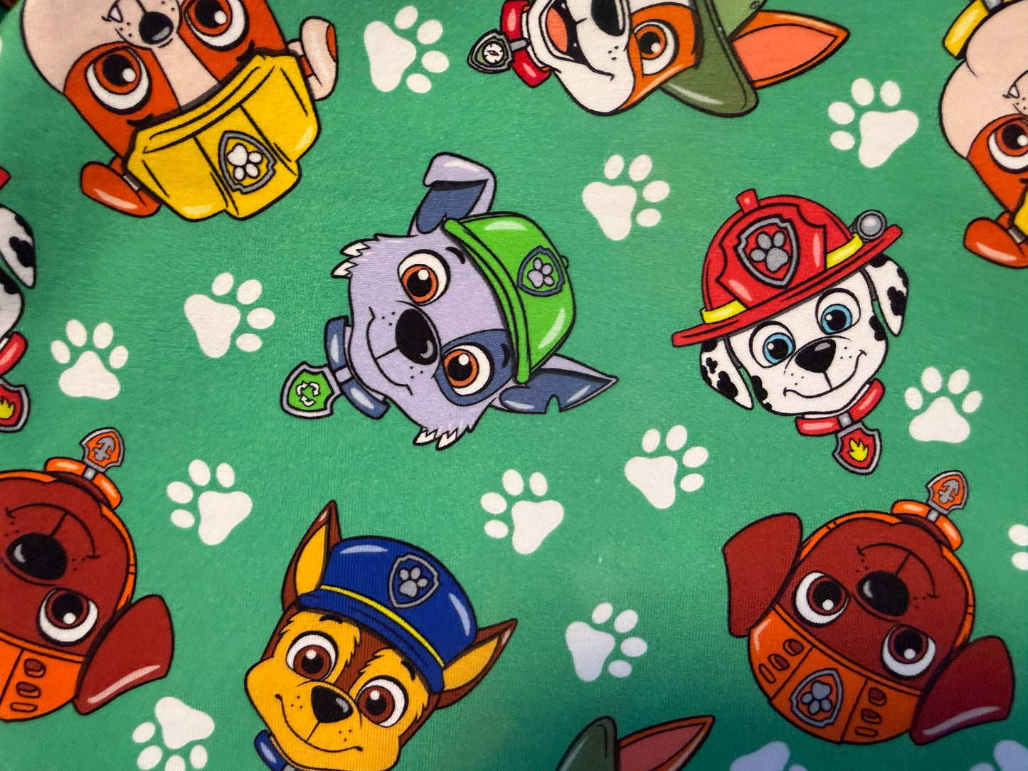 (1793) Adventure Pups T‑Shirt & Shorts Set – Size 2
