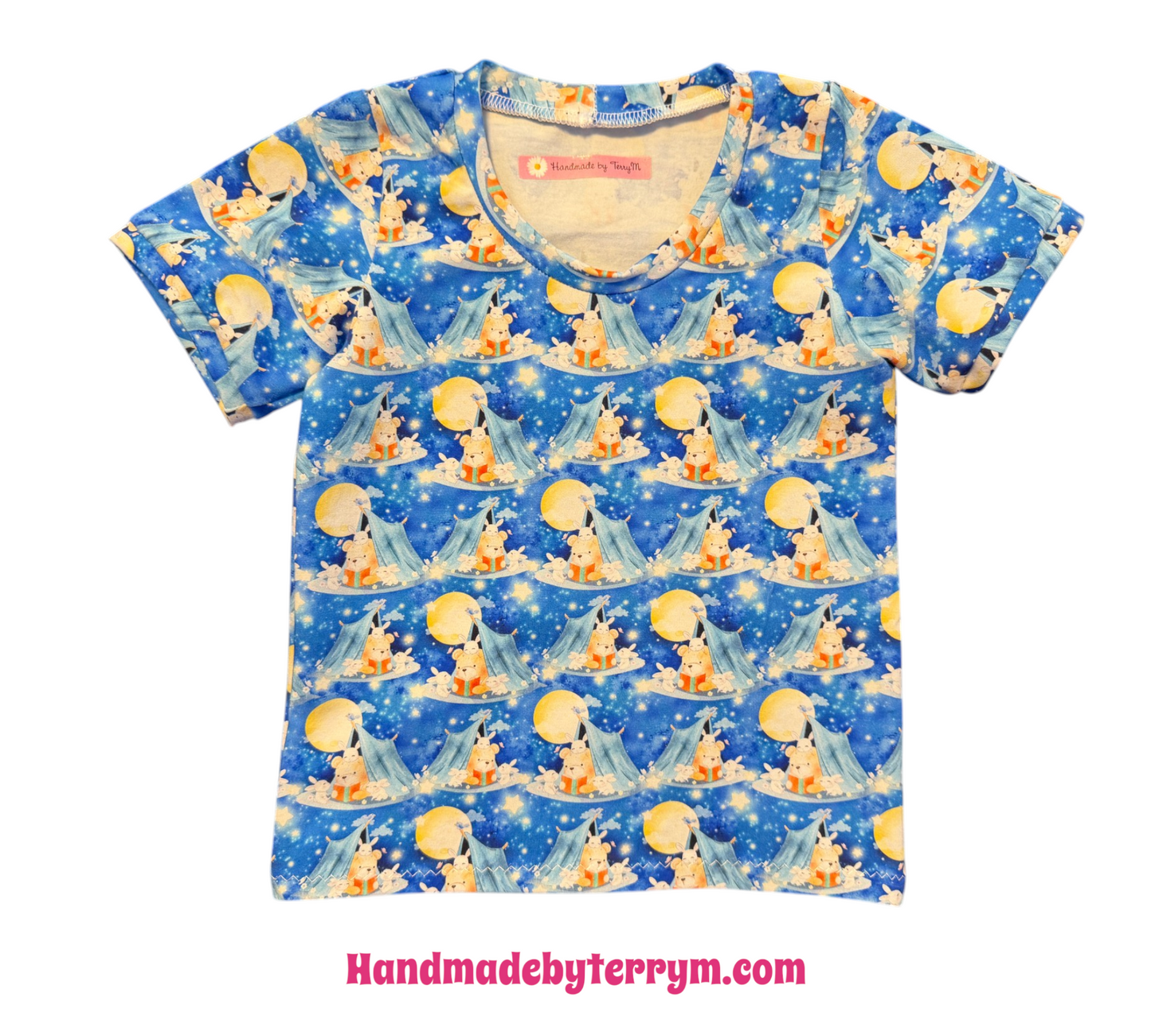 (1788) Teddy in a Tent T-Shirt & Shorts Set - Size 2