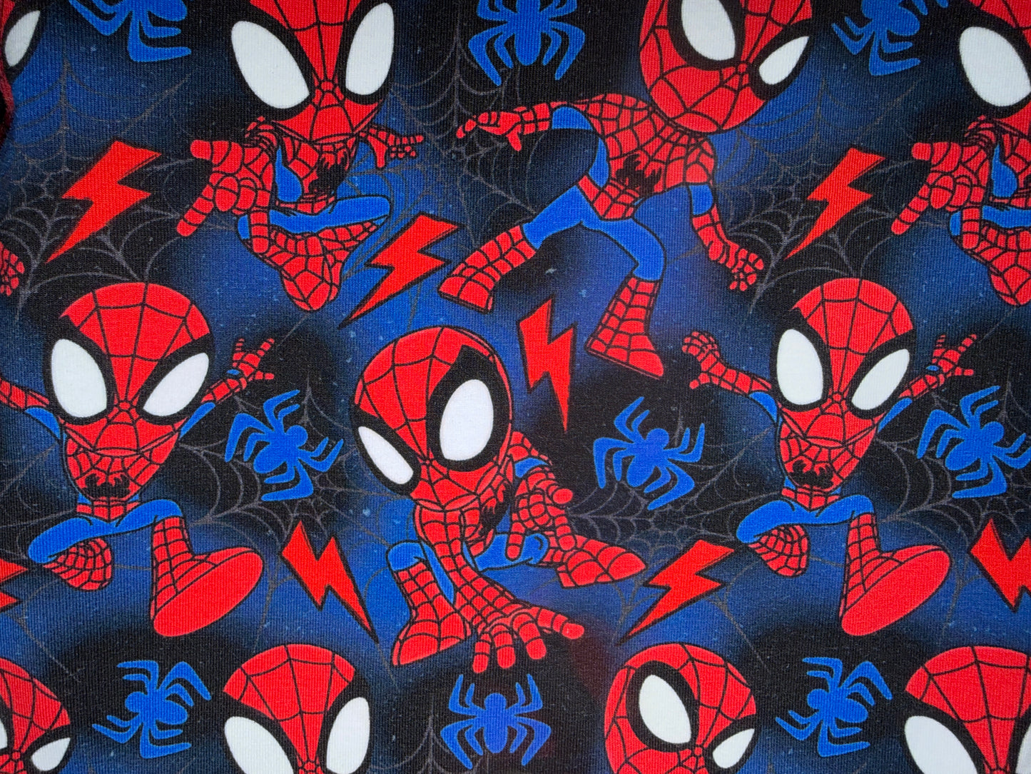 (1827) Spiderdude T-Shirt & Shorts Set - Size 5