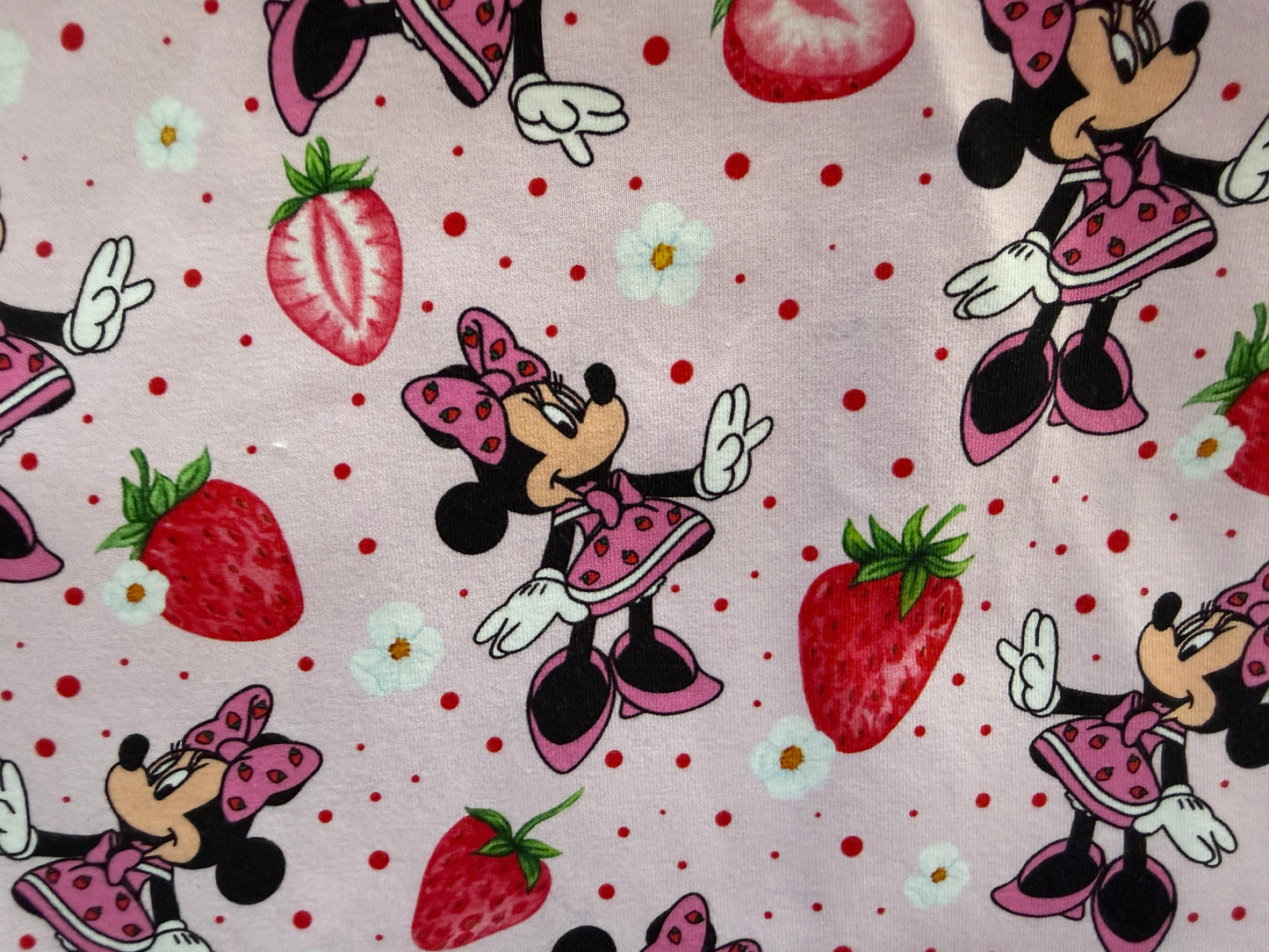(1847) Strawberry Mouse Dress - Size 1