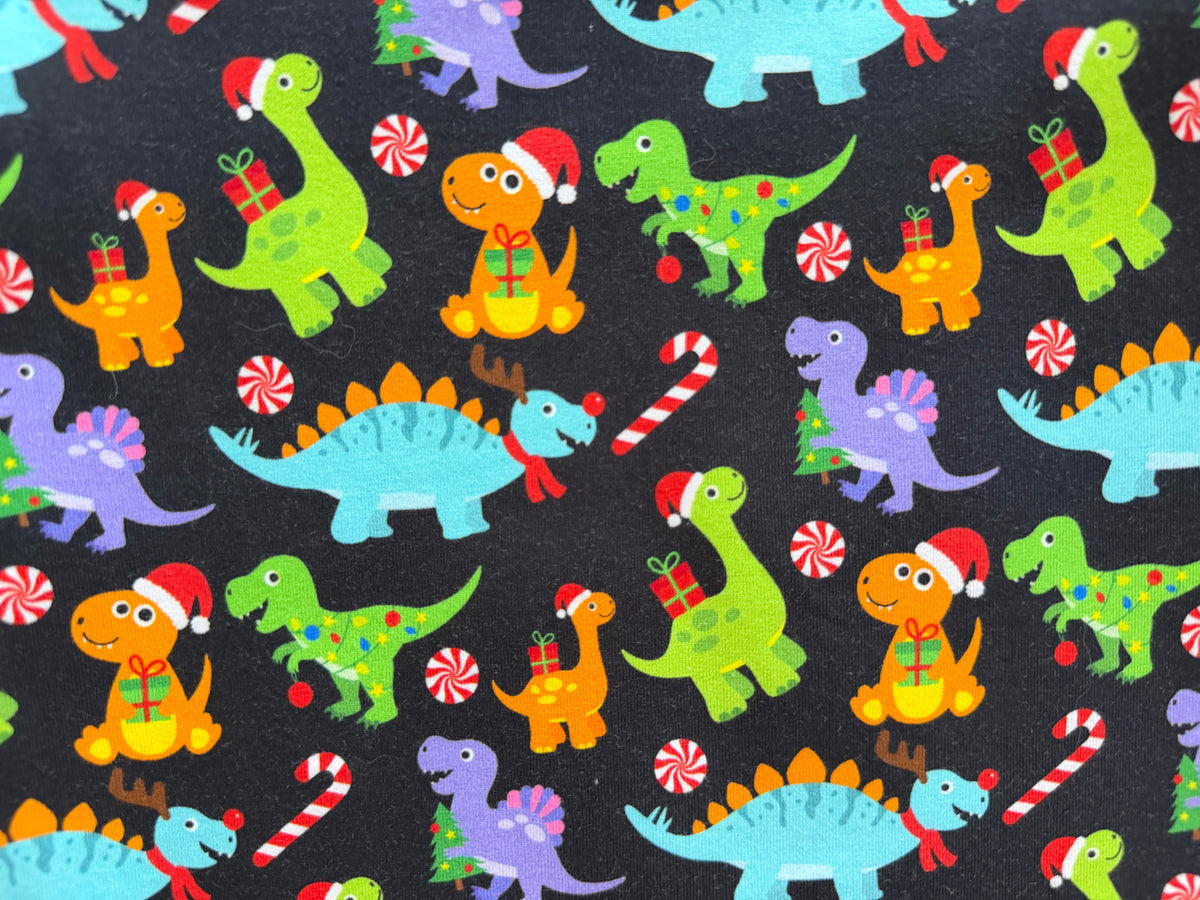 (1838) Xmas Dinosaur T-Shirt - Size 4