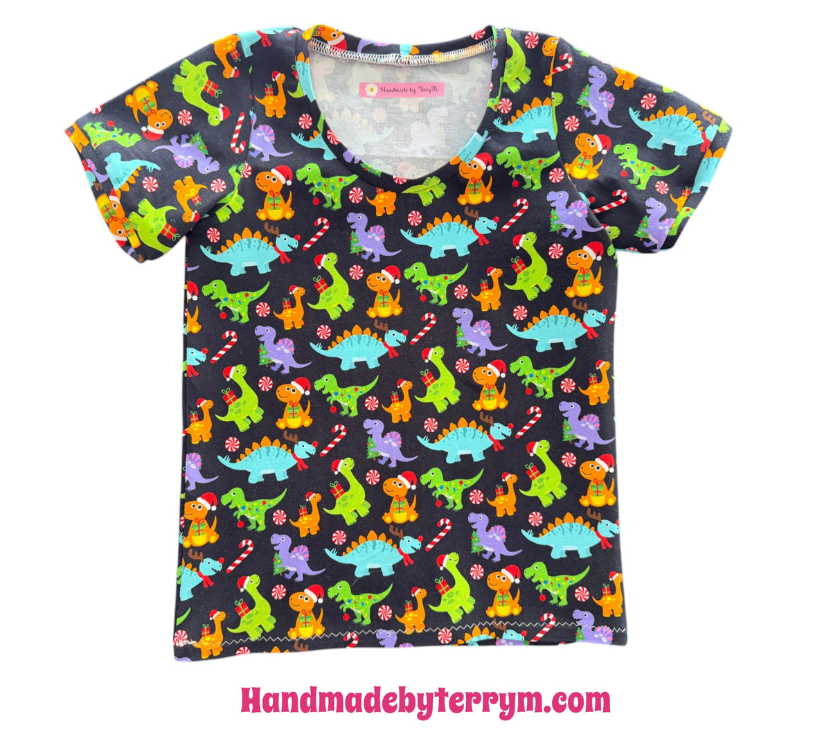 (1839) Xmas Dinosaur T-Shirt - Size 5