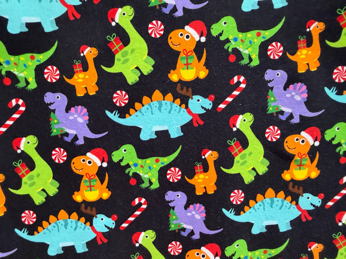 (1839) Xmas Dinosaur T-Shirt - Size 5