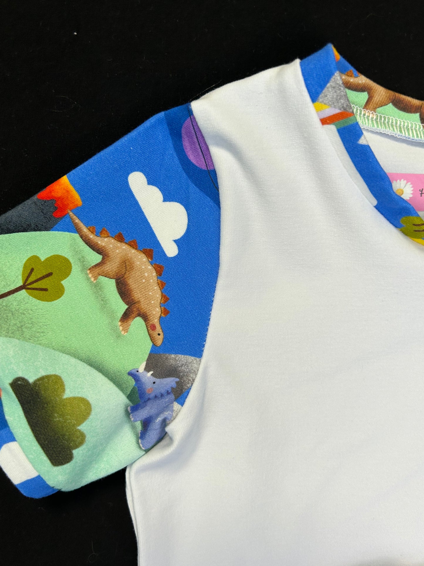 Dinosaur Land T-shirt & Shorts - Size 4