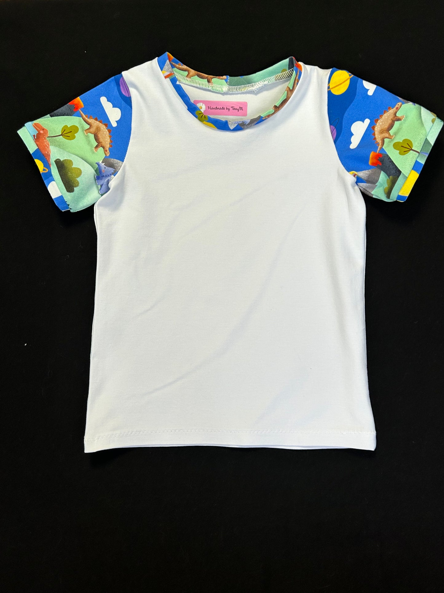 Dinosaur Land T-shirt & Shorts - Size 4