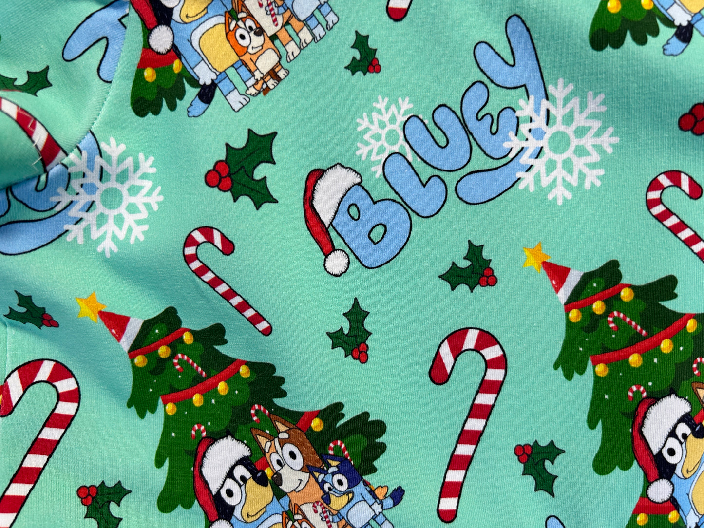 Green Xmas Bluey Dress - Size 3