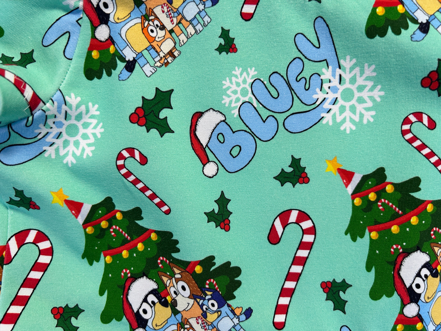 Green Xmas Bluey Dress - Size 6