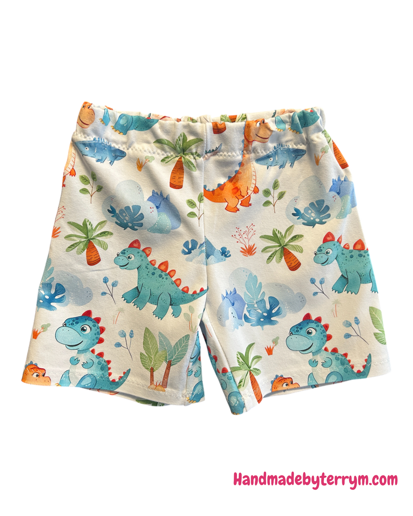 Cute Dinosaur Tshirt & Shorts Set - Size 1