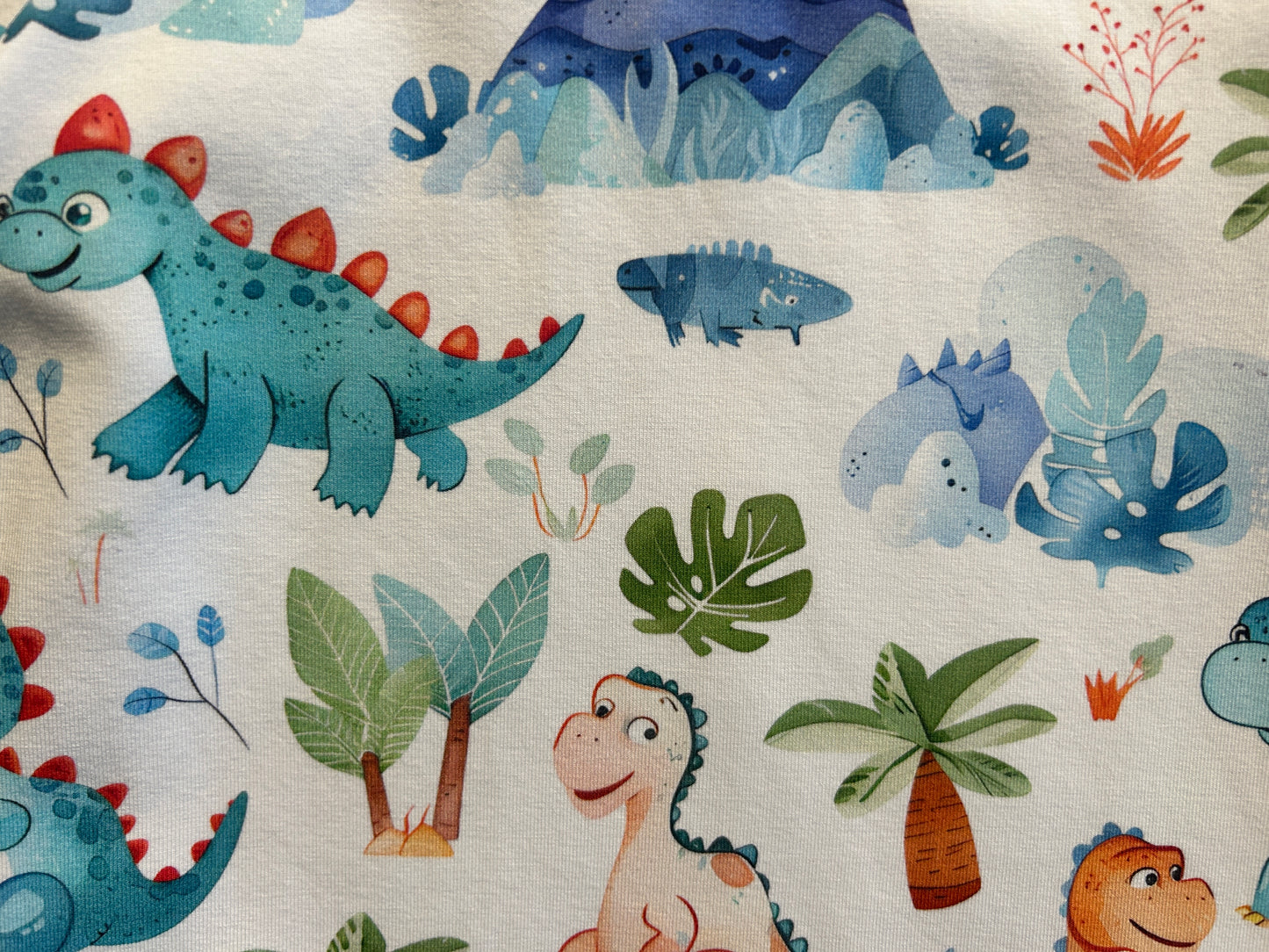 Cute Dinosaur Tshirt & Shorts Set - Size 1