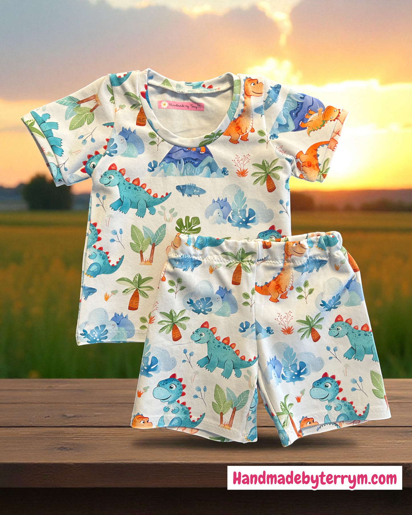 Cute Dinosaur Tshirt & Shorts Set - Size 1