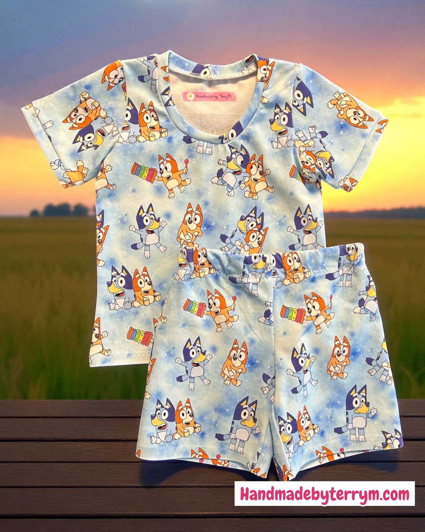 Blue Bluey Tshirt & Shorts Set - Size 1