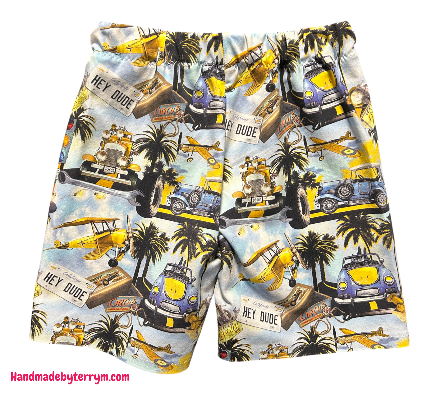 (1387) Hey Dude Tshirt & Shorts Set - Size 5