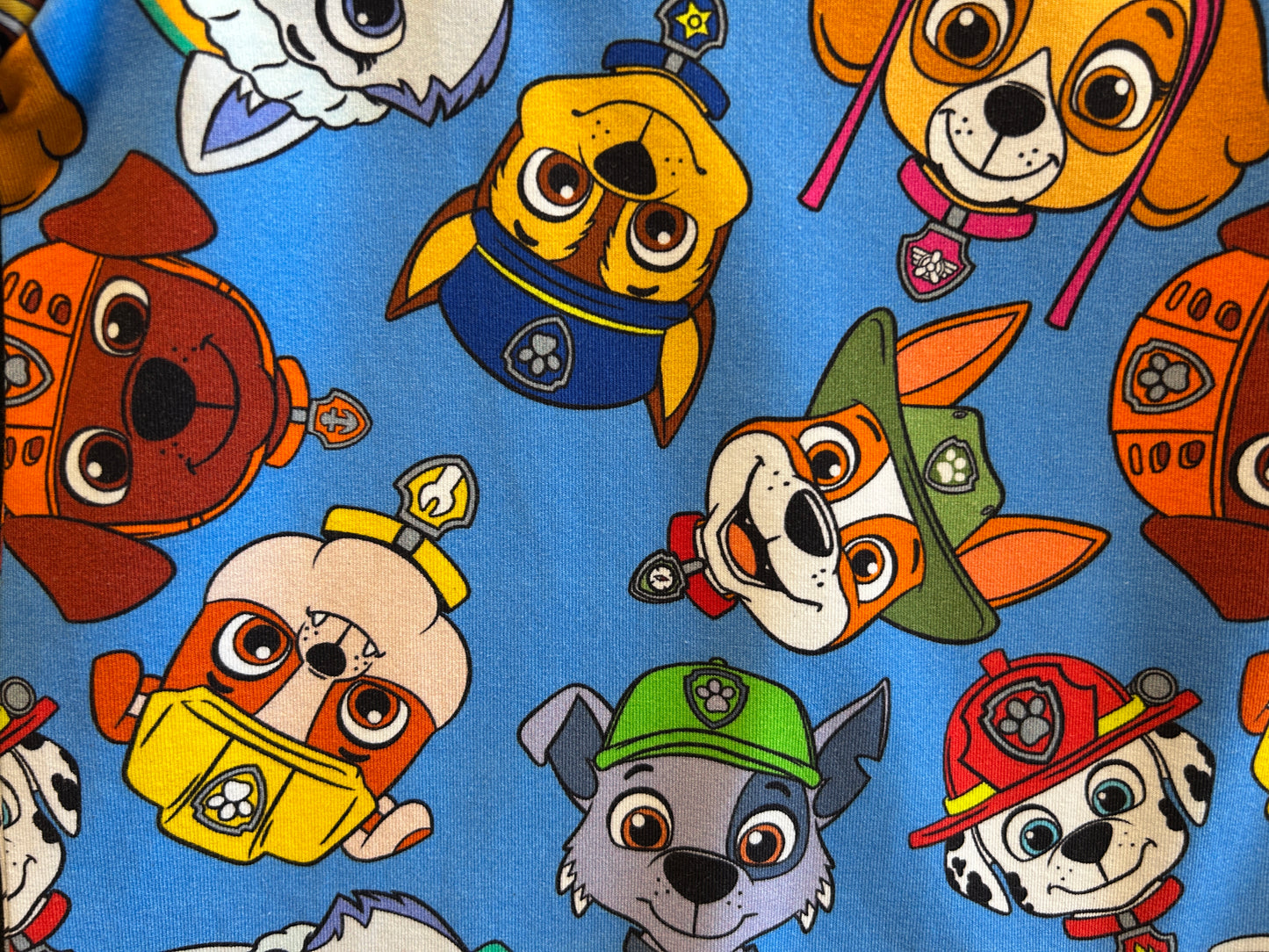 (1547) Pups T-Shirt & Shorts Set - Size 3
