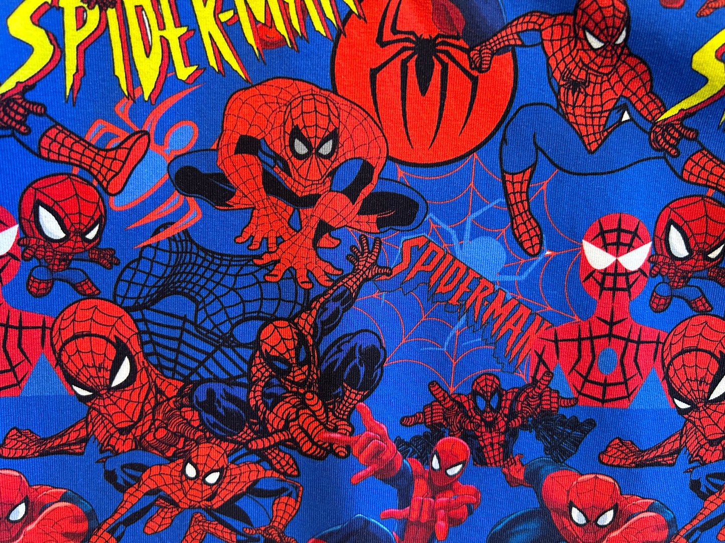 (1559) Spiderdude T-Shirt & Shorts Set - Size 1
