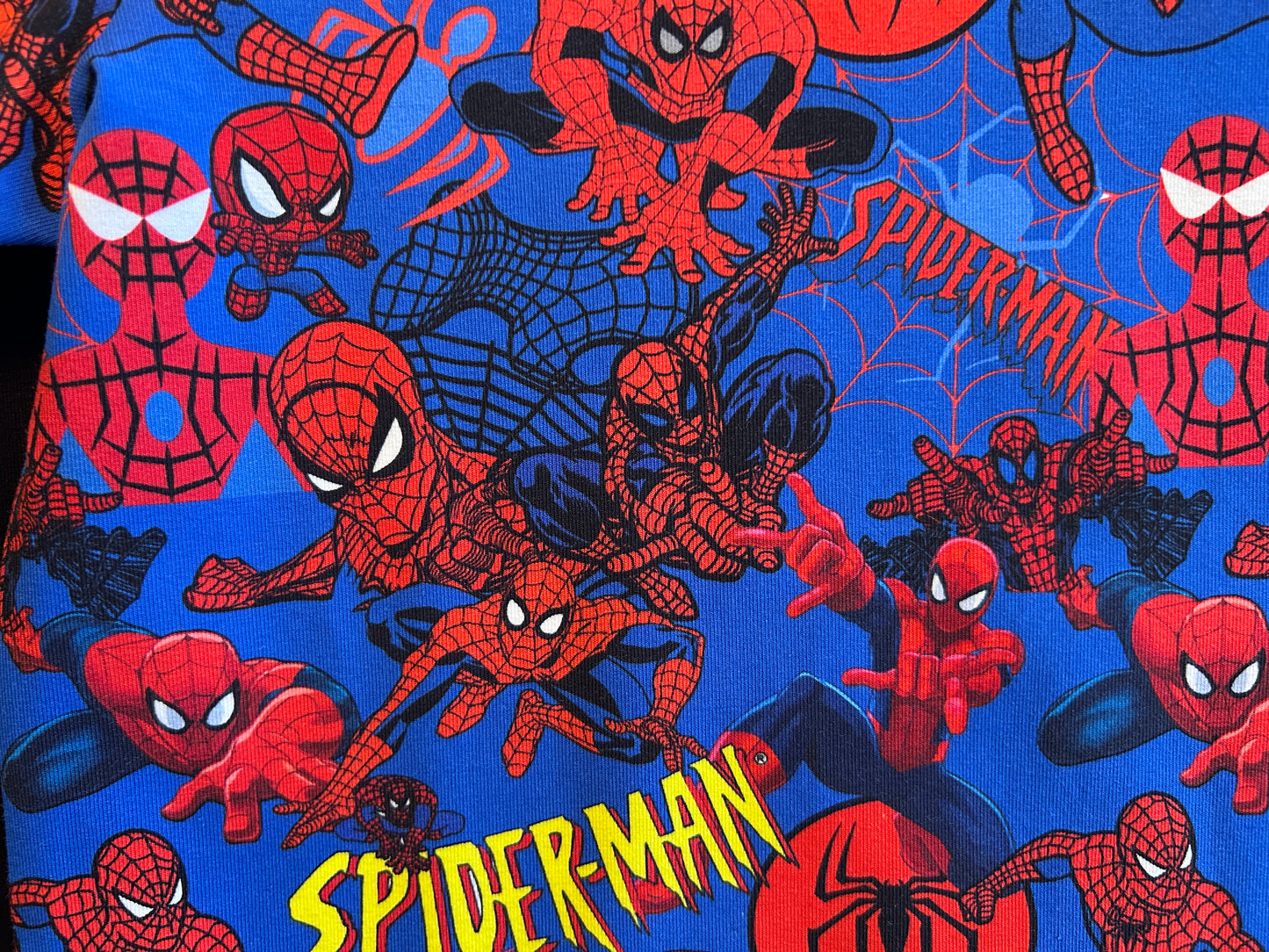 (1554) Spiderdude T-shirt & Shorts Set - Size 4