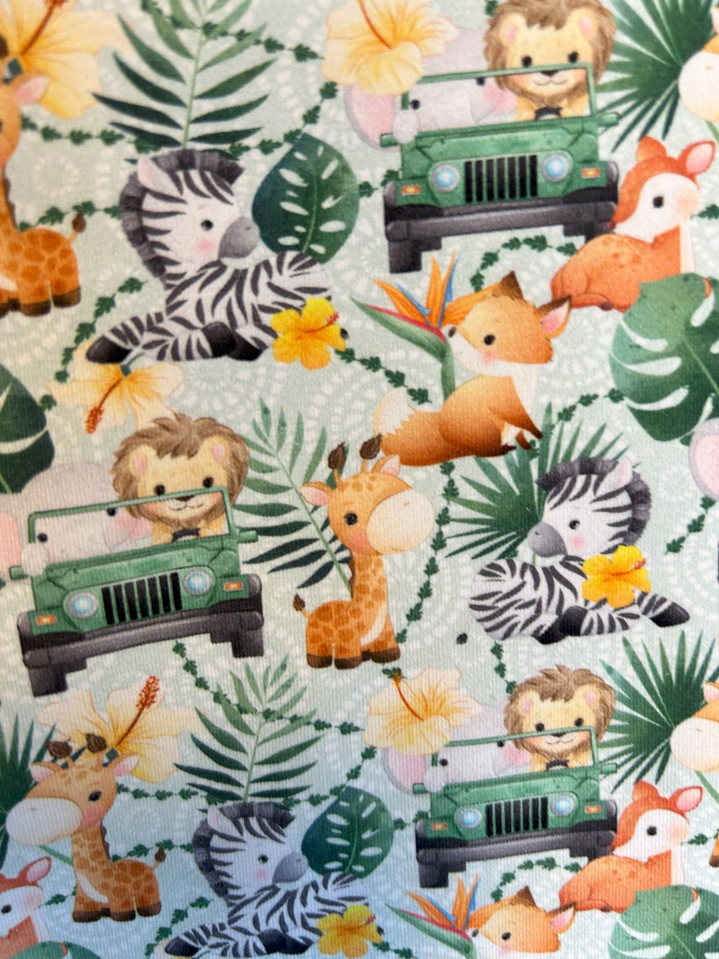 Animal Safari T-Shirt & Shorts- Size 2