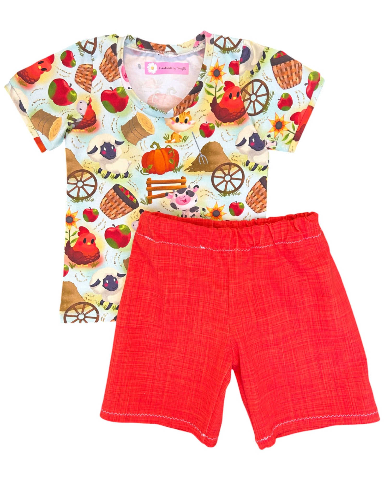 Farm animals toddler outfit – size 3
Handmade barnyard T shirt and shorts set
