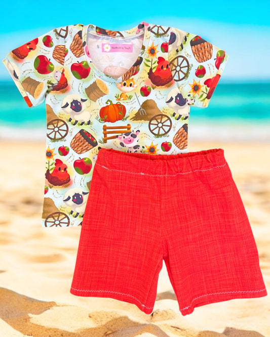 Farm animals toddler outfit – size 3
Handmade barnyard T shirt and shorts set
