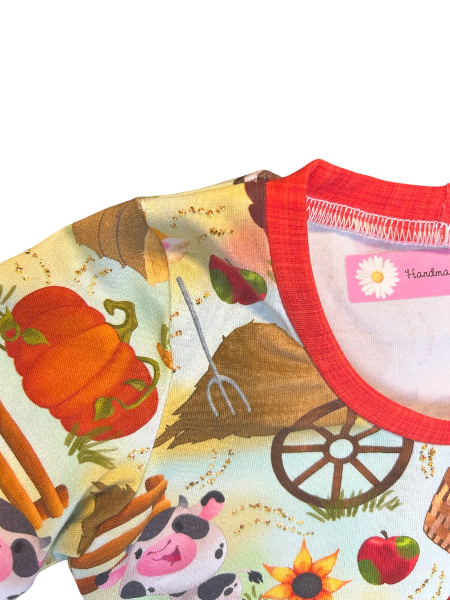 Farm animals baby outfit – size 1
Handmade barnyard T shirt and shorts set

