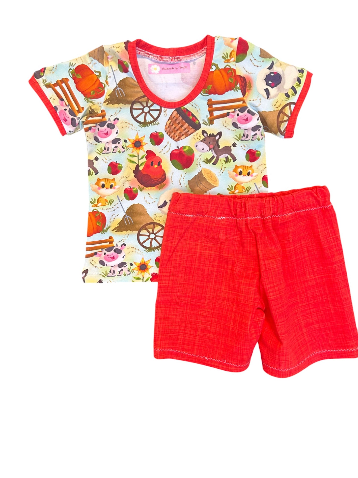 Farm animals baby outfit – size 1
Handmade barnyard T shirt and shorts set
