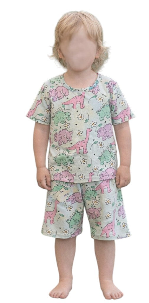 (1544) Coloured Dinosaurs T-Shirt & Shorts Set - Size 3
